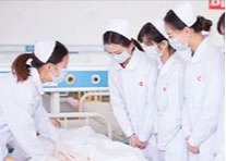 构成“护理专业群”