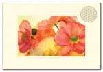 Doppelkarten Querformat Blume des Lebens - 6 Stück